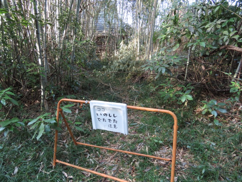 日和田山、物見山